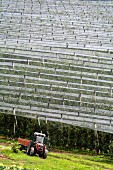 Blick auf Apfelplantage in Tirol, mit Netzen abgedeckt