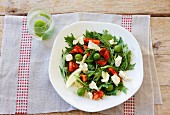 Tomato and mozzarella salad with green olives