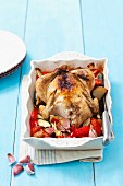 Roast chicken with vegetables