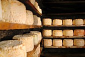 Montafoner cheese in a cellar