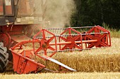 A combine harvester in a wheat field (wine growing region, Austria)