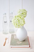 Viburnum flowers in small white vase