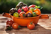 Various types of tomatoes in an orange, enamel sieve on a wooden surface