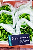 Lettuce in plastic bags at a farmer's market