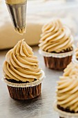 Cupcakes topped with chestnut cream