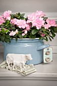 Pink-flowering azalea planted in enamel pot and white china cow ornaments
