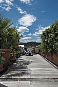Foliage plants and sun loungers on narrow wooden terrace under blue sky