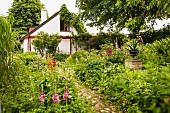 Blühender Garten mit gepflastertem Weg, im Hintergrund schlichtes Wohnhaus, teilweise berankt
