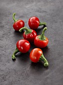 Fresh red Habanero chillis