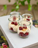 Himbeer-Mascarpone-Dessert