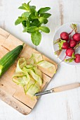 Cucumber on a chopping board with radishes and mint