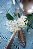 An antique spoon and blossom on turquoise fabric