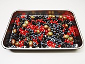 Various fresh berries on a baking tray