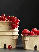 Fresh redcurrants and raspberries in cardboard punnets (close-up)
