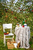 Sommerlich gedeckter Tisch im Garten vor Apfelbäumen