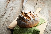 A round loaf of potato flake bread