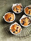 Blueberry coffee muffins on a wire rack
