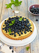 Blueberry cake with vanilla cream