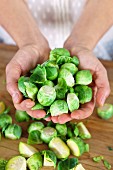 Hands holding Brussels sprouts
