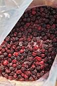 Frozen blackberries in a container