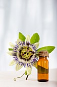 A bottle of essential passionflower oil and passionflower