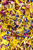 Dried petals from edible flowers (full frame)