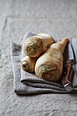 Parsley root and a kitchen knife on a linen cloth