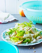 Mixed leaf salad with apples and goat's cheese