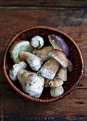 A basket of fresh porcini mushrooms on a wooden surface