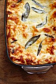 Lasagne with sage in a baking dish