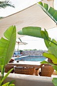 Table and wicker chairs below awning next to pool with banana leaves in foreground