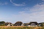 Reetdachhäuser in Groß Zicker auf der Halbinsel Mönchgut, Rügen