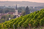 Sous-Roche Weinberg über der Kirche im Dorf Voiteur, Jura, Frankreich