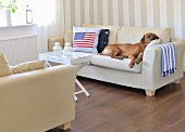 Wohnzimmerecke mit heller Sofagarnitur, schlafender Hund neben Kissen mit amerikanischer Flagge