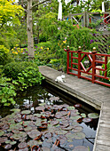 Wooden bridge over pond with water lilies