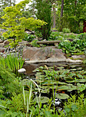 Teich in sommerlichem Garten
