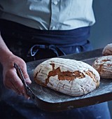 Mann hält Backblech mit frisch gebackenen Broten