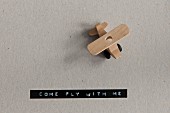 Wooden toy plane and adhesive tape from label maker reading -COME FLY WITH ME-