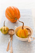 Baby acorn pumpkins with a soup cup and cutlery