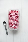 A tub of frozen raspberry yogurt next to an ice cream scoop