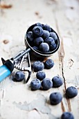 Blueberries in an ice cream scoop on a rustic wooden surface