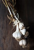 A bundle of garlic on a wooden surface