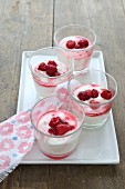 Vanilla yoghurt with raspberries in dessert glasses on a porcelain plate