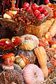 An autumnal arrangement featuring pumpkins, squash, fruit and vegetables at a market