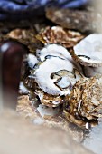 Leftover oyster shells (close-up)