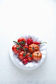 Frische Chilischoten und Tomaten auf Teller