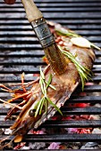 A rosemary flavoured king prawn being brushed on a grill