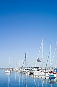 Segelboote im Hafen Warnemünde, Ortsteil von Rostock, Mecklenburger Bucht