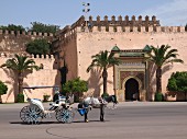 Kutsche zum König - vor dem Palast Seiner Majestät in Meknes, einer der 4 Königsstädte in Marokko