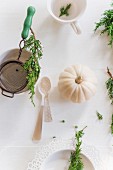 A white mini pumpkin and a sprig of elderberries